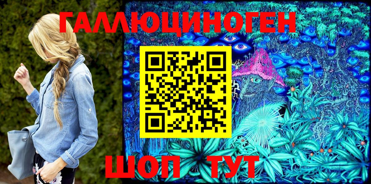 Псилоцибиновые грибы Psilocybe Усть-Джегута
