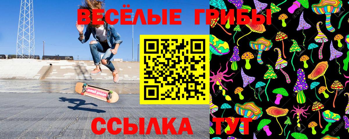 Усть-Джегута  Псилоцибиновые грибы Psilocybine cubensis  Вход с VPN 