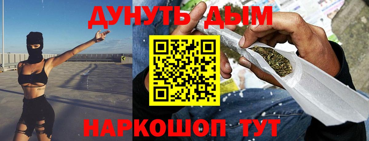 Шишки марихуана сатива Усть-Джегута